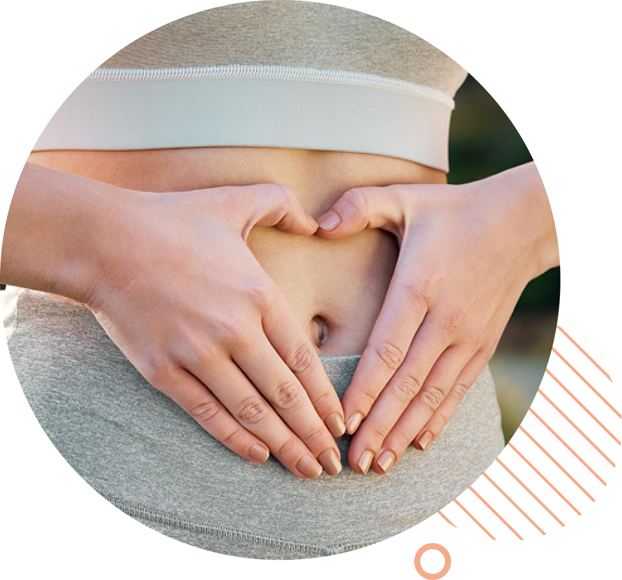 Gut Repair Program Gut Repair Program