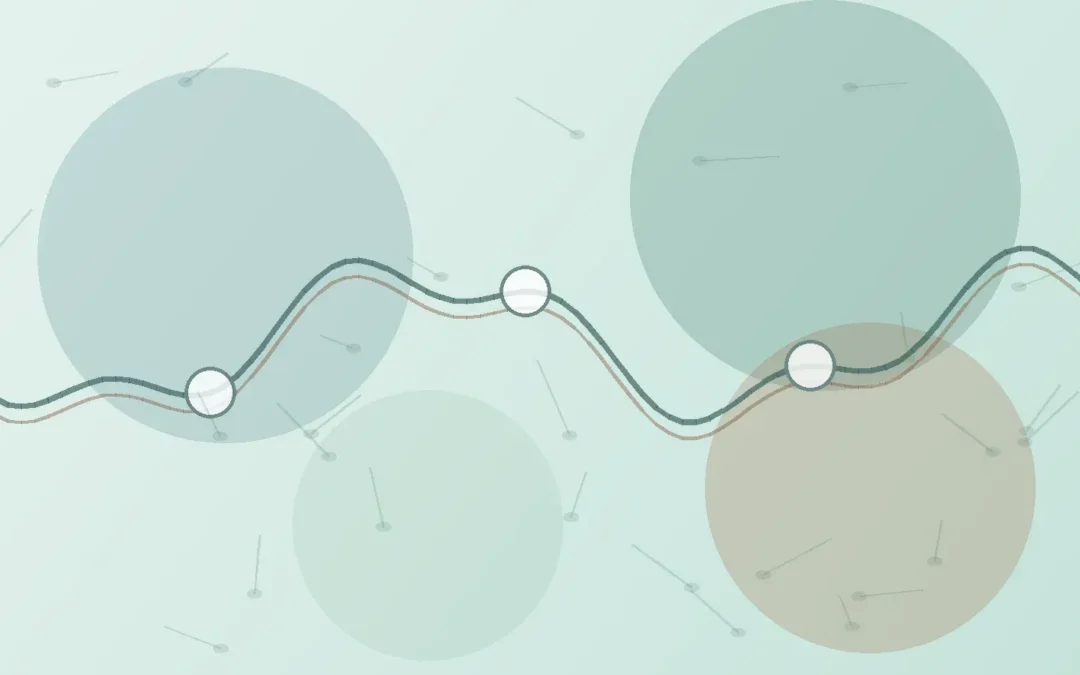 Cortisol imbalance functional medicine guide showing stress rhythm and hormone balance